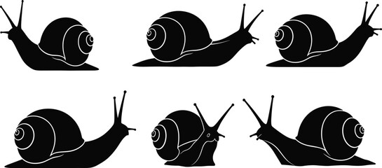 Snail silhouette illustration, black snail icon, coiled shell vector, stylized snail drawing, minimal snail graphic, animal symbol, slow movement design © MDABDULLAH