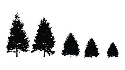Coniferous tree silhouettes in varying sizes on transparent background. © Sara Studio