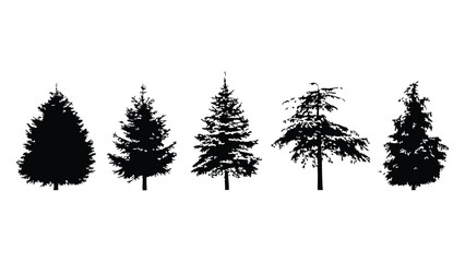 Collection of black spruce pine silhouettes isolated on a transparent background layer. © Sara Studio