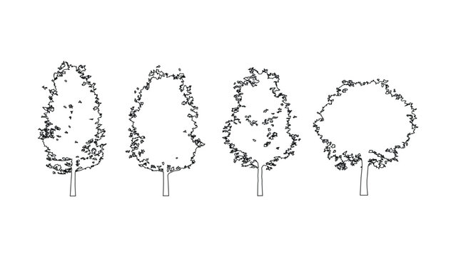 Hand drawn tree outline set for landscape masterplan and architectural graphic design use.