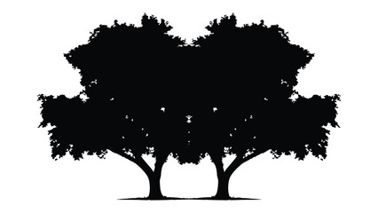 Silhouette of two large leafy trees with thick trunks on transparent background for design. © Sara Studio