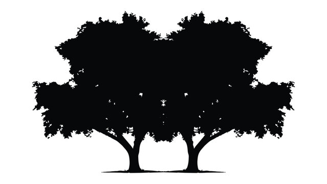 Silhouette of two large leafy trees with thick trunks on transparent background for design.