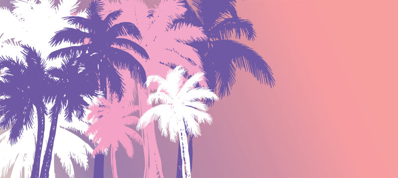 Palm, summer set, hand drawn illustrations, vector.	
