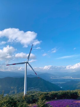wind turbine in the field