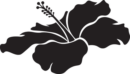 Hibiscus Flower Stencil Vector Tropical Floral Silhouette Icon and Isolated Hawaiian Botanical Blossom Clipart © Md.Nazmul Haque