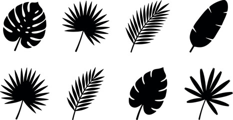 Tropical summer black silhouette palm leaves set monstera banana fern exotic jungle foliage decorative botanical element pack vector illustration © Kanon Islam
