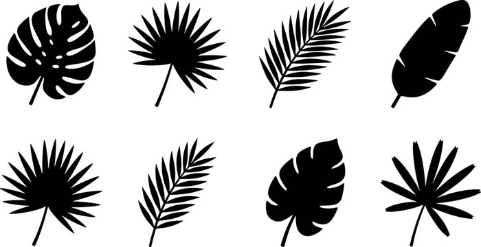 Tropical summer black silhouette palm leaves set monstera banana fern exotic jungle foliage decorative botanical element pack vector illustration
