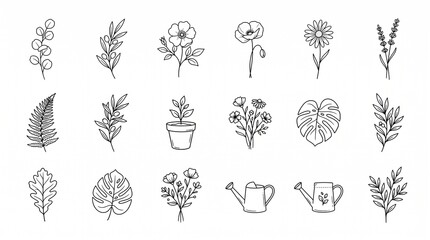 Minimalist botanical line art collection, hand drawn floral sketches and leaf icons, set of 18 black and white garden illustrations for branding © Muhammad