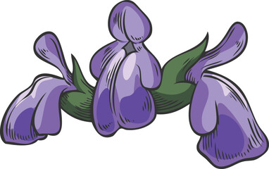 Obraz premium Chia plant blue flowers sketch, hand drawn blossom plant Salvia hispanica, seasoning herb botanical vector illustration