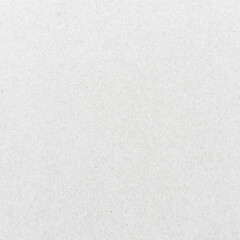 Obraz premium Plain textured white paper background
