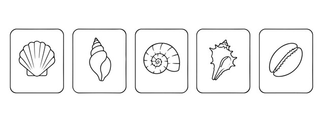 Seashell set. set of vector line icons on a white background © Roman