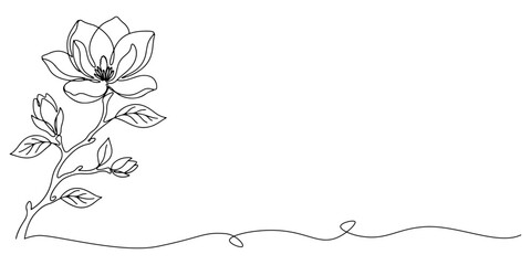 magnolia flower line art vector illustration. © Haus