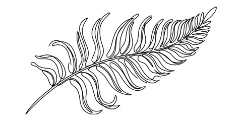 fern leaves line art vector illustration. © Haus