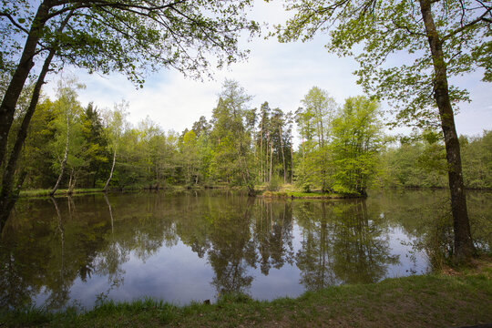 View of the Hirschteich pond in the Altm&uuml;hl source area in Middle Franconia, Germany.