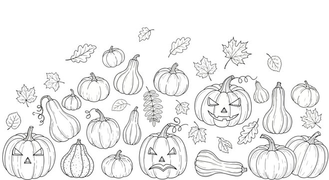 Hand drawn collection of various pumpkins and autumn leaves for coloring page.