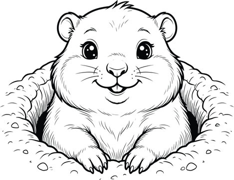 Baby groundhog peeking curiously from its underground burrow, black and white line woodchuck marmot hole