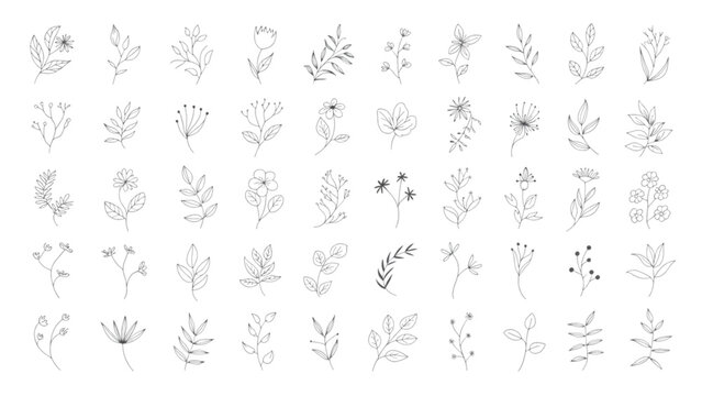 Set of black hand drawn doodle math symbols and numbers for education and design Vector