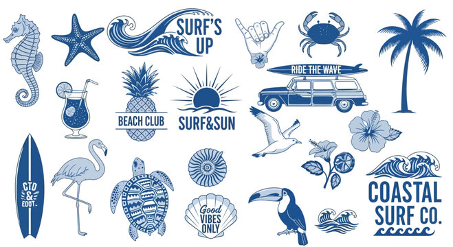 Set of hand drawn summer beach surf elements and tropical icons.