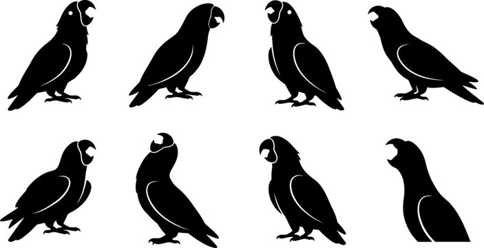 Collection of eight black silhouette parrot icons featuring various tropical bird postures on white background