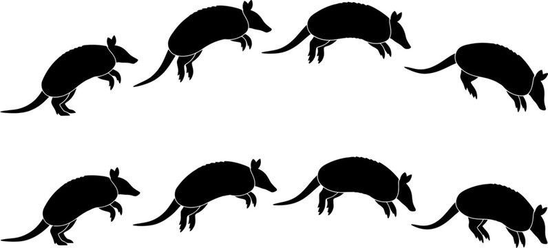 Set of armadillo silhouettes in various jumping and running poses for wildlife design projects