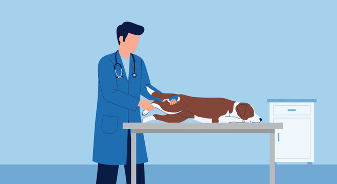 Veterinarian examining a sick dog on an examination table in a clinic