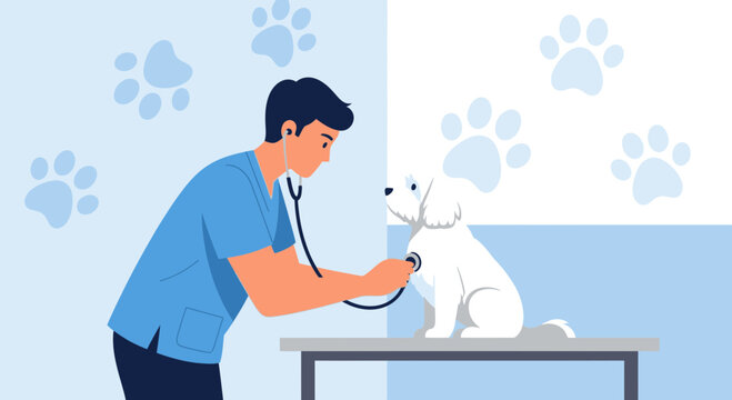 Veterinarian examining a small white dog with a stethoscope on examination table
