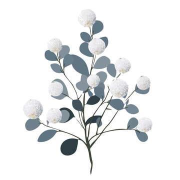 Flat 2D minimalist illustration of a Silver Brunia, modern vector design with white background.