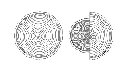 Fototapeta premium Detailed outline drawings of tree ring patterns from a stump cross section showing growth cycles for nature and wood themed designs.
