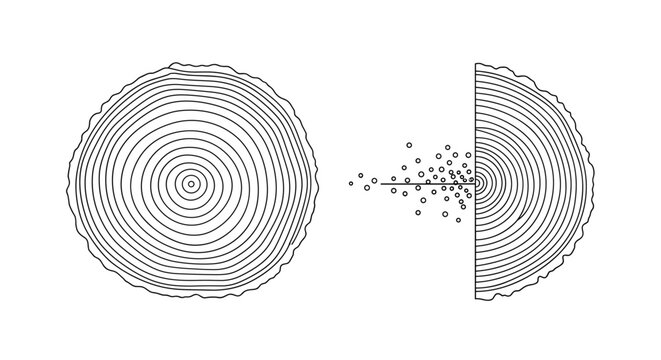 Scientific diagram of a tree trunk cross section reveals growth rings and cellular structures being analyzed for environmental data.