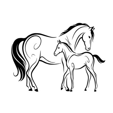 Mare and Foal Horse Line Art Vector &ndash; Mother and Baby Equine Minimalist Illustration