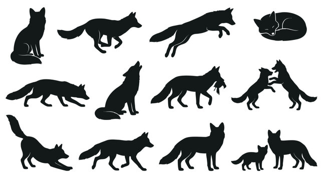 Fox Silhouette Set &ndash; 12 Poses Black Vector Clipart Wildlife Collection