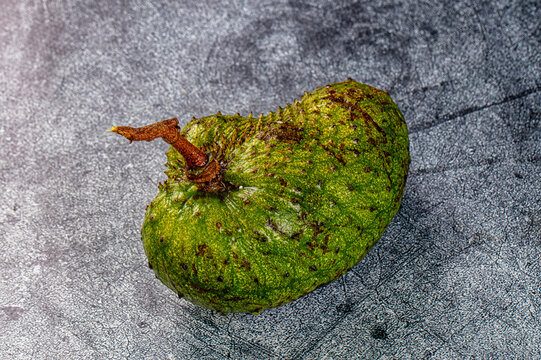 One whole raw soursop fruit, or graviola, isolated on a textured background.