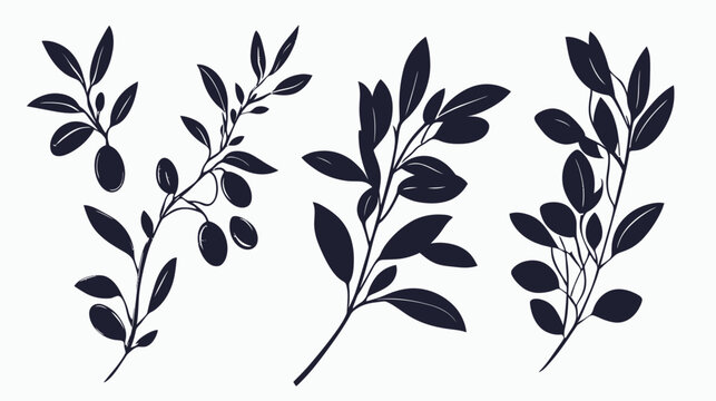 Collection of stylized dark botanical sprigs, featuring leaves and olives, isolated on a white backdrop