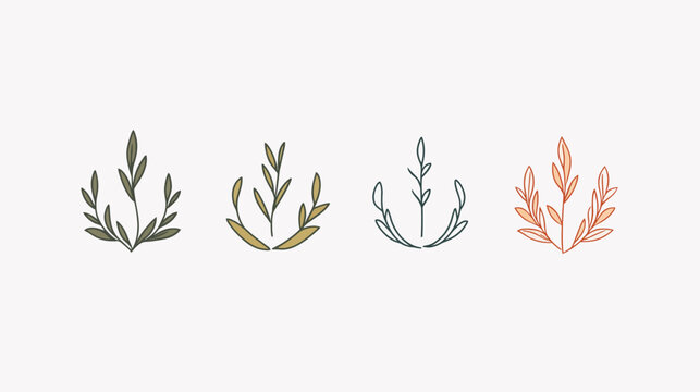 Four stylized botanical illustrations with leaves in different colors against a cream background