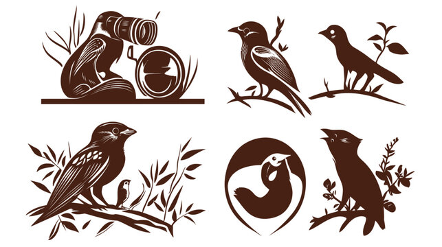 Six brown illustrations of birds, including a figure with binoculars, set against a white backdrop