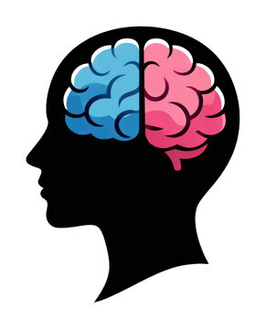 PNG Brain silhouette with colorful hemispheres.