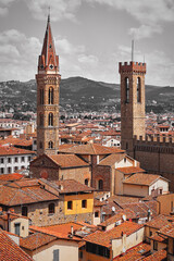 Naklejka premium Tower of Palazzo Vecchio in Florence top view to tile roofs of old town. Blue mountains landscape on background. Italy. Trendy stylish toning for interior and poster prints.