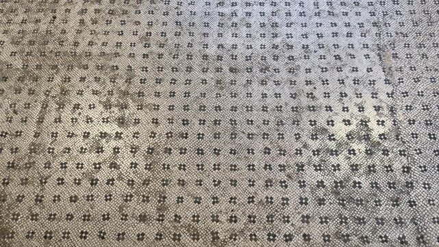 Mosaic Floor Inside Building in Pompeii Ancient Interior