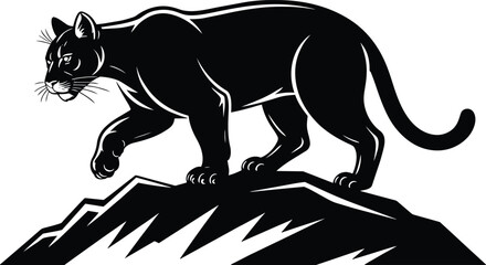 Stalking mountain lion walking across a jagged rocky ledge, wild cougar side view with muscular body and sharp claws and cat © MC Creative