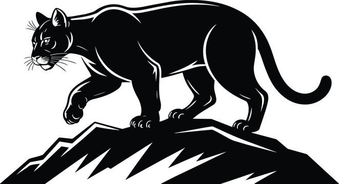 Stalking mountain lion walking across a jagged rocky ledge, wild cougar side view with muscular body and sharp claws and cat