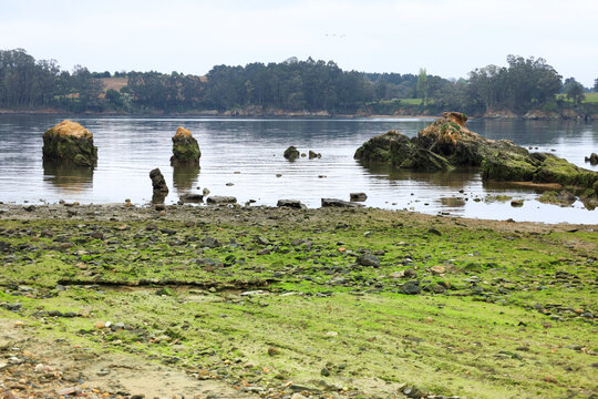 The rocky Salias beach in Castropol town, Asturias