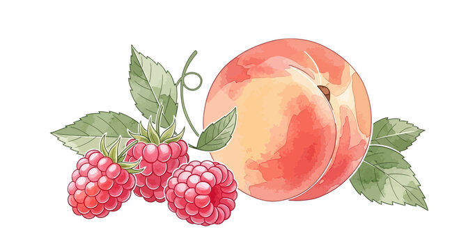 Watercolor illustration featuring a ripe peach accompanied by fresh raspberries and leaves