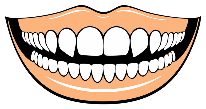 Fangs and Pearly White Teeth in Open Mouth Illustration