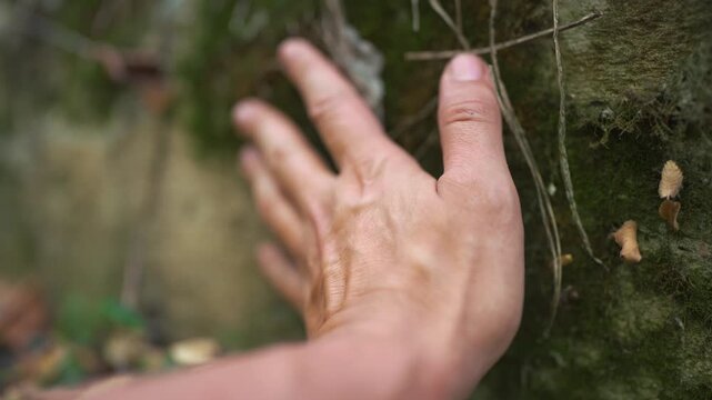 A man's hand gently strokes the textured rock, feeling the detail of the rock's surface. The connection between the hand and rock is tangible, exploring the natural environment.