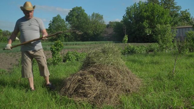 Man in straw hat lifts hay with pitchfork, moving it from a pile in a sunny garden setting surrounded by greenery and crops