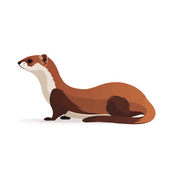Weasel, illustrated as a clean 2D flat vector icon isolated on a white background