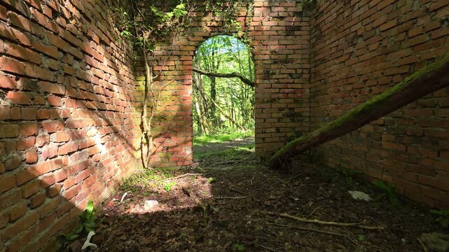 Historic brick wall ruins with an archway succumbing to nature, overgrown with trees and moss, featuring sunlight casting shadows on earth and foliage