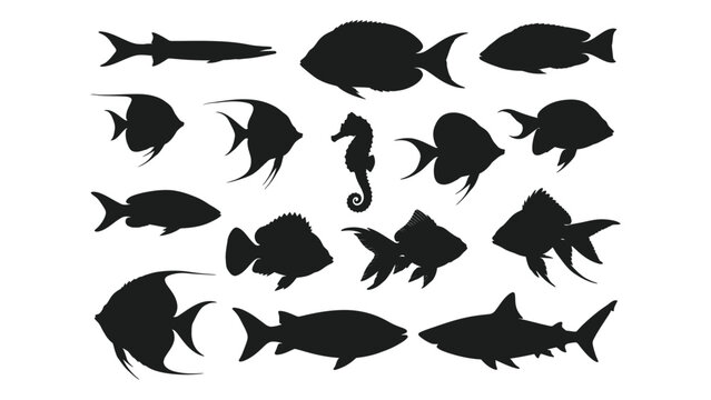 fish silhouettes on white background silhouette seahorse marine aquatic animal