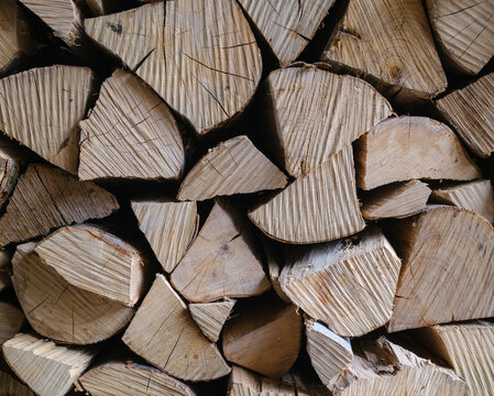 Stacked Firewood Logs