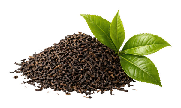 PNG Fresh tea leaves and dried blend